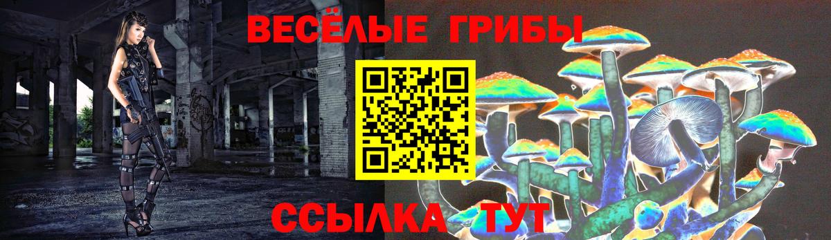 Псилоцибиновые грибы GOLDEN TEACHER Шелехов